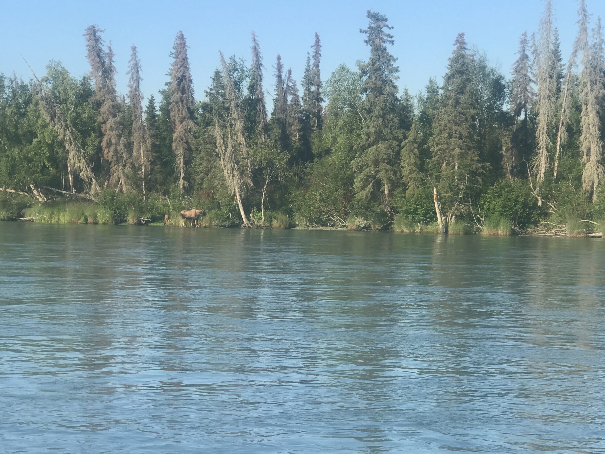 The Kenai River