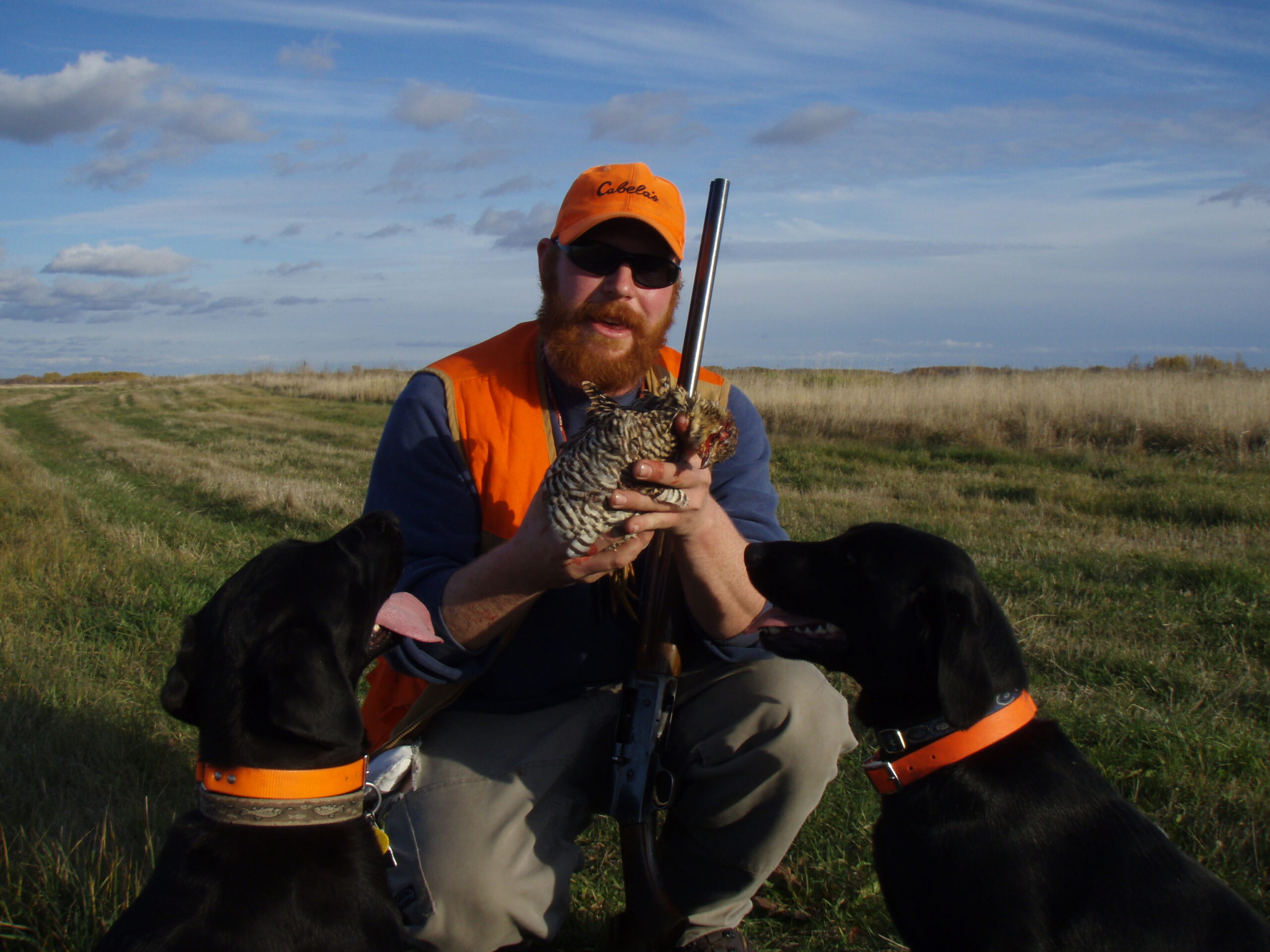 A tale of the Greater Prairie Chicken of Minnesota